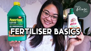 How to Fertilise Your Indoor Plants FOR BEGINNERS