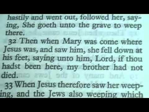 The book of JOHN king James Bible