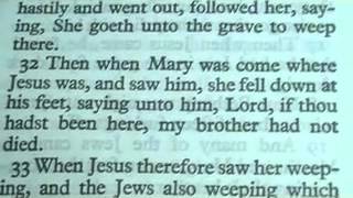 The book of JOHN king James Bible