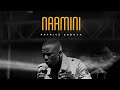 Patrick Kubuya Naamini English Lyrics