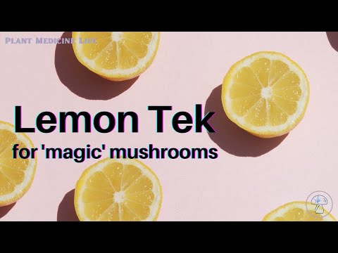 Lemon Tek for Mushrooms 🍄🍋