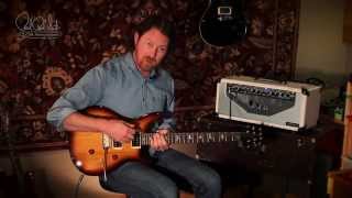 Video thumbnail for The PRS SE Standard 24 by PRS Guitars