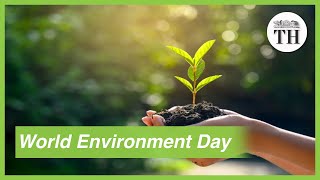 World Environment Day 2020: Time for nature | DOWNLOAD THIS VIDEO IN MP3, M4A, WEBM, MP4, 3GP ETC