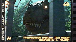 Muldoon's Log - Supplementary Footage B