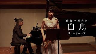 Download lagu カミーユ・サン=サーンス / 動物の謝肉祭より「白鳥」：Charles Camille Saint-Saëns / Le Cygne mp3