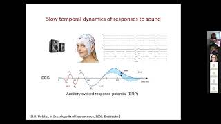Prof Coffey&#39;s Zangwill Talk &quot;An auditory thread: music, sleep, brain stimulation, and plasticity&quot;