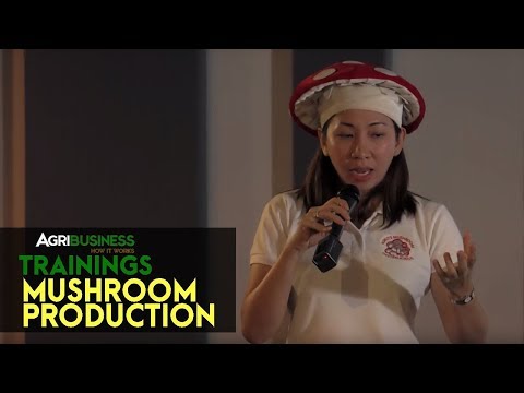 Kung paano mapupuksa ang cellulite epektibong Iyon ay, pagkatapos ng gym upang mawala ang timbang