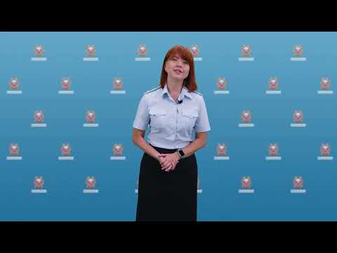 Сводка происшествий / 29.07.2024