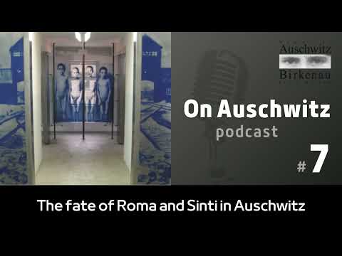 "On Auschwitz" (7): the fate of Roma and Sinti in Auschwitz