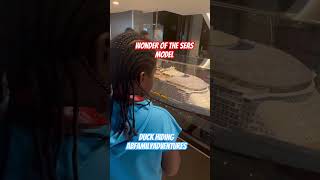 Wonder of the Seas Model - duck Hiding and more. #abfamilyadventures  #wonderoftheseas