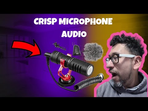 Rode VideoMicro vs Movo VXR10 - Best BUDGET Microphone for Your Camera Review