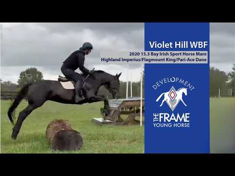Violet video 1