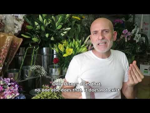 Alejandro Palomas, recomendaciones para el Día del libro | CaixaForum