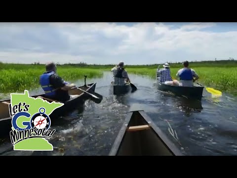 Let's Go, Minnesota! (Episode 205) Mississippi Headwaters w/ artist Preston Lawing