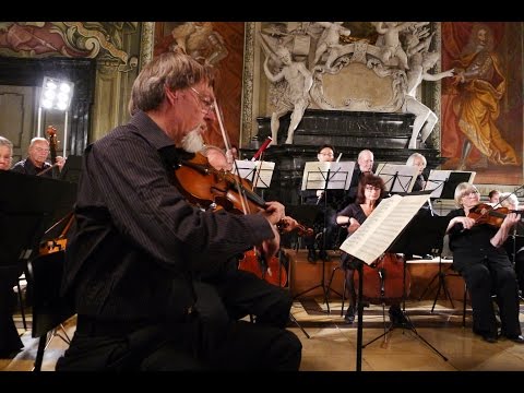 Franz Schubert - Andantino aus "Rosamunde" D797