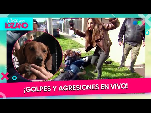 ¡Batalla campal en vivo! Vecinos se pelean tras la aparición del perro | #CortáPorLozano