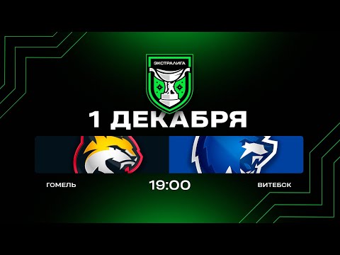 Гомель - Витебск | 01.12.2025 | Экстралига | Прямая трансляция