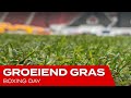 Groeiend gras in AFAS Stadion | Boxing Day
