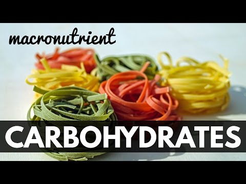 Types of Carbohydrates Defined
