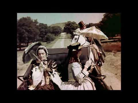 1 VIOLETAS IMPERIALES