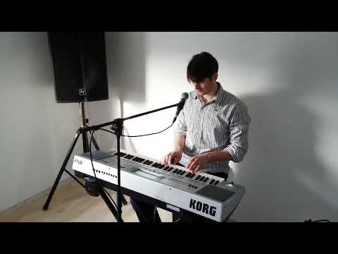 23. Prosinac Tony Cetinski (cover) by Zlatko Tole