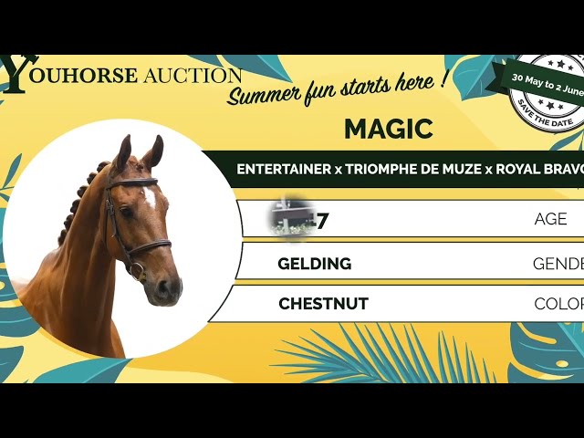 Magic showvideo