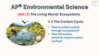 Lesson (1.4) The Carbon Cycle