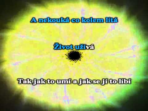 Náruživá - Žlutý pes - Karaoke.avi
