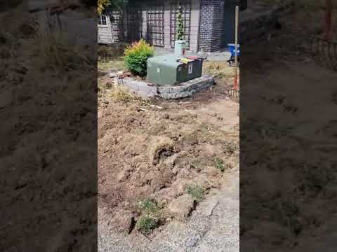 Heriberto Soria Rodriguez and landscaping and Maintenance