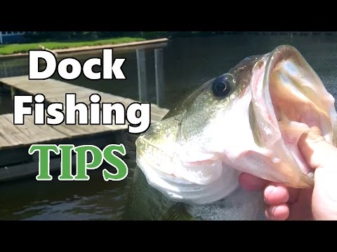 Dock Fishing Tips for Bass
