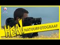 HEA! Natuurfotograaf