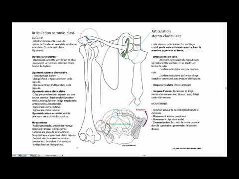 Coxartroza simptomelor tratamentului articulațiilor genunchiului