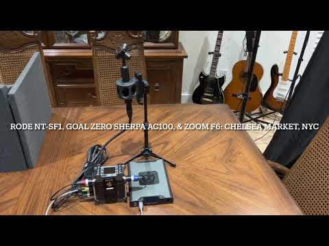 20-January-2023: RØDE NT-SF1: First Test: Chelsea Market, NYC