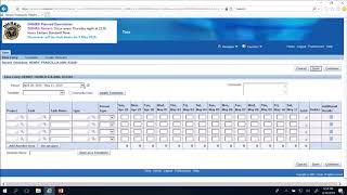 Creating and Submitting a DMHRSi Timecard