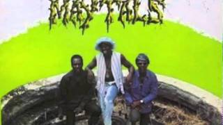 Toots and the Maytals - Feel So Good.m4v