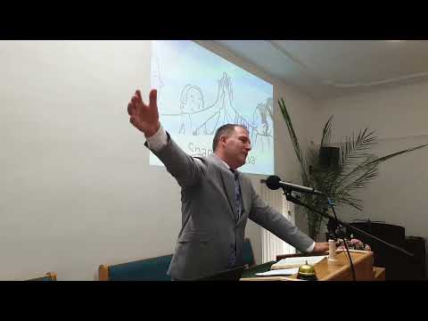 Zoran Sudarević - Sila jednistva