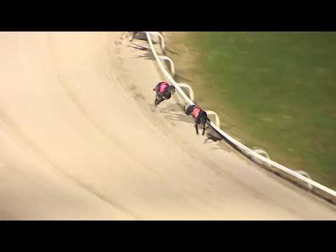 2018 ASTUTE ELECTRONICS GOLD CUP - 2ND SEMI - T5 DOROTAS CAT