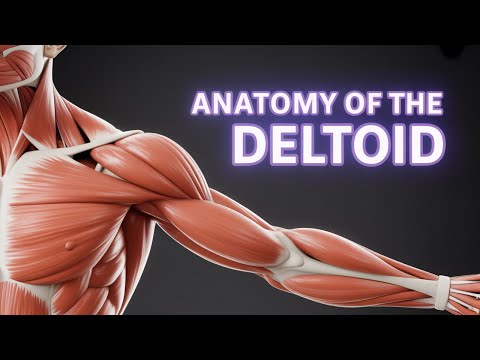 Shoulder Pain - Deltoid Muscle Trigger Points Explained