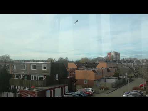 Metrorit type SG2/1 van Spijkenisse centrum tot de akkers met omroep!!