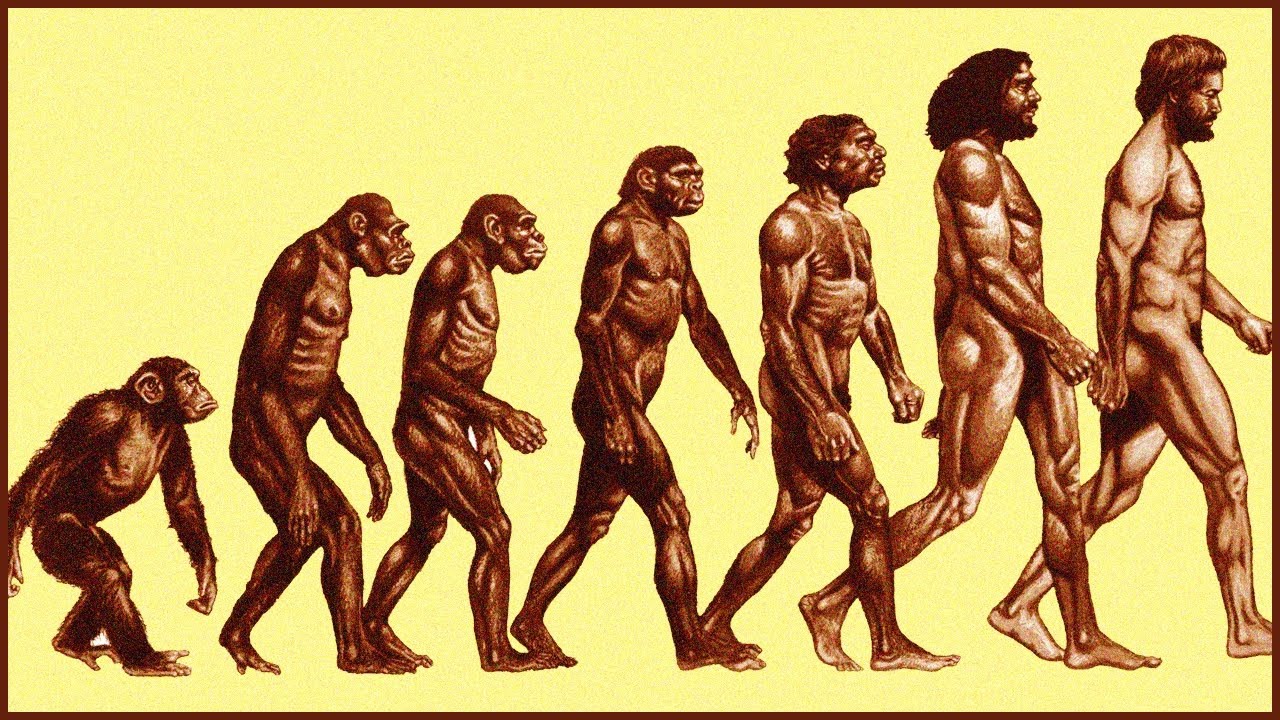 In Search Of The Missing Link ... With Leonard Nimoy! (1981).