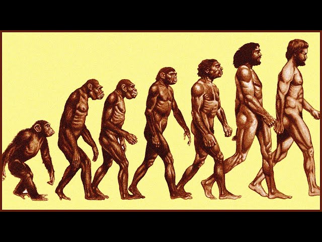 In Search Of The Missing Link ... With Leonard Nimoy! (1981).