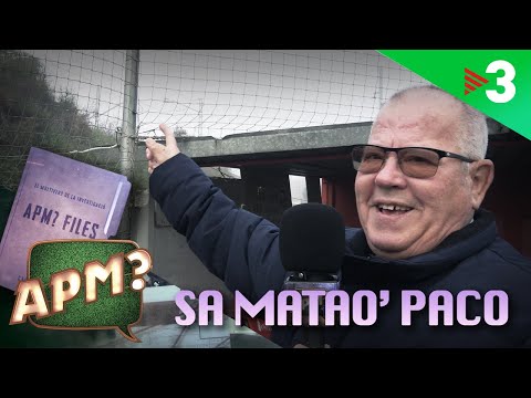 APM? FILES - CAP. 1 - El retorn del "Sa matao' Paco"