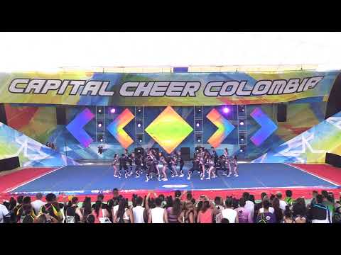 145   NPC Btá N4 Open Large MX