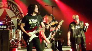 Jack Russell's Great White