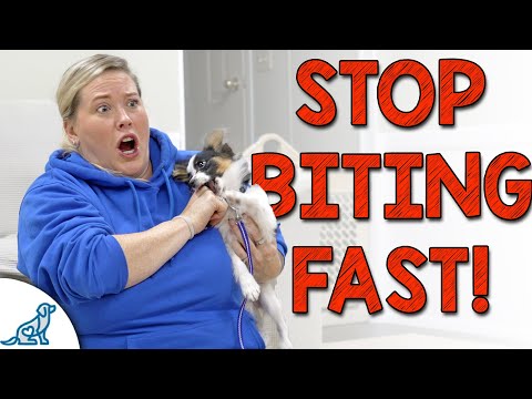 The Calming Technique to STOP Puppy Biting FAST