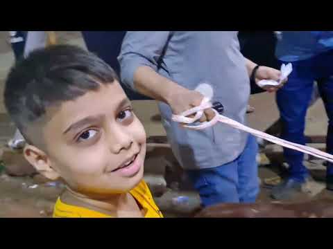 bhai koto nilo