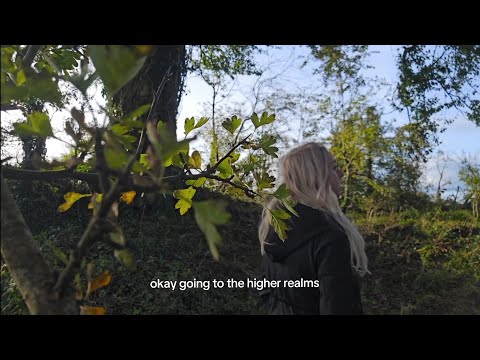 Künstliche Programmierung 🤖 vs. Natur 🍃