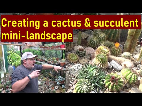 How I Made My Cactus & Succulent Rock Garden Raised Bed #cactuscollection #cacti #cactus #succulents