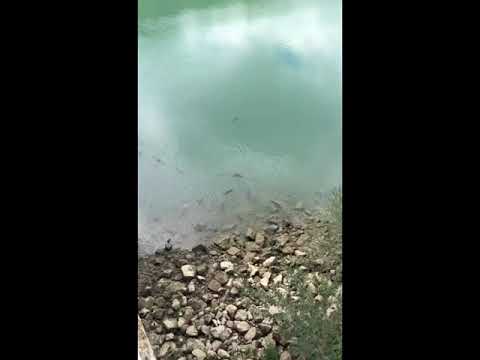 Glems Stausee, rundfahrt mit dem E-Bike von Cube,nähe Metzingen