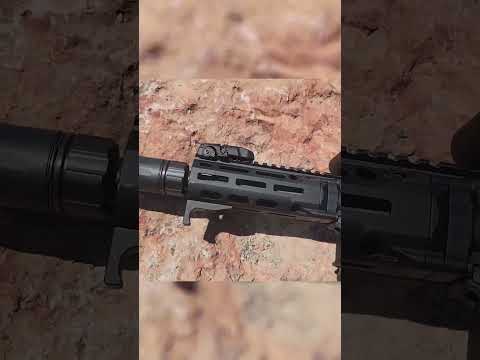 Daniel Defense Base Rifle